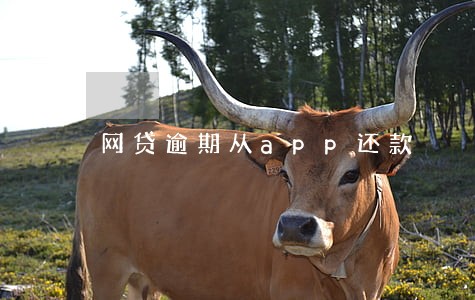 网贷逾期从app还款 网贷逾期从app还款