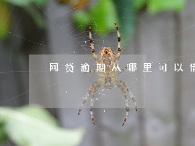 网贷逾期从哪里可以借钱 网贷逾期从哪里可以借钱