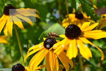 网贷逾期从来不接电话会怎么样 网贷逾期从来不接电话会怎么样