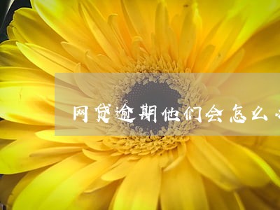网贷逾期他们会怎么办