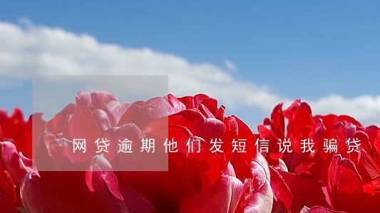 网贷逾期他们发短信说我骗贷 网贷逾期他们发短信说我骗贷