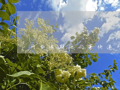 网贷逾期他们寄快递什么东西 网贷逾期他们寄快递什么东西