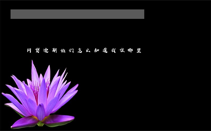 网贷逾期他们怎么知道我住哪里 网贷逾期他们怎么知道我住哪里