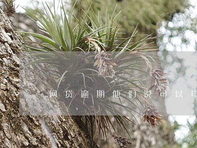 网贷逾期他们说可以申请免息 网贷逾期他们说可以申请免息