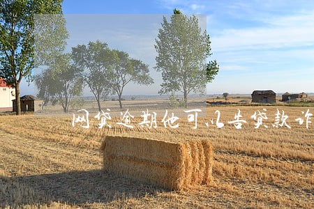 网贷逾期他可以告贷款诈骗 网贷逾期他可以告贷款诈骗
