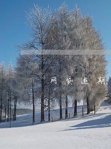 网贷逾期他有权联系紧急联系人吗 网贷逾期他有权联系紧急联系人吗