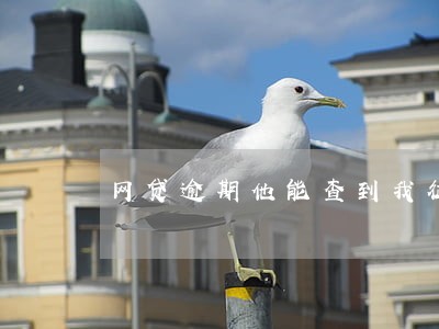 网贷逾期他能查到我征信吗 网贷逾期他能查到我征信吗