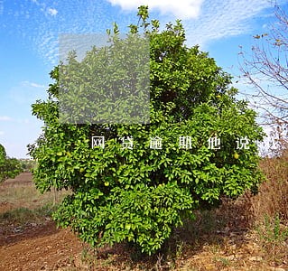 网贷逾期他说我涉嫌欺诈 网贷逾期他说我涉嫌欺诈