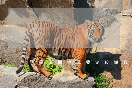 网贷逾期他说要定位抓我 网贷逾期他说要定位抓我