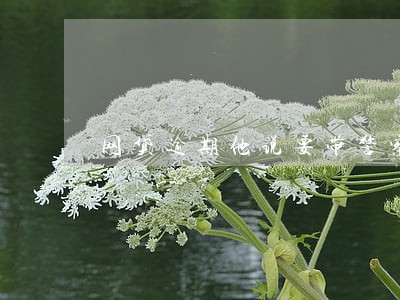 网贷逾期他说要带警察来抓我