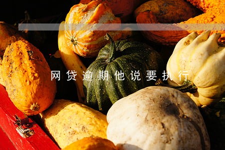网贷逾期他说要执行 网贷逾期他说要执行