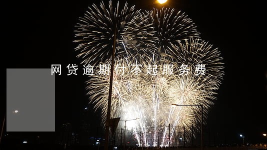 网贷逾期付不起服务费 网贷逾期付不起服务费