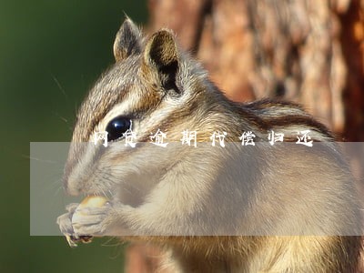 网贷逾期代偿归还