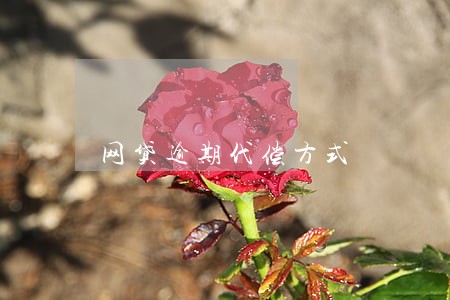 网贷逾期代偿方式 网贷逾期代偿方式
