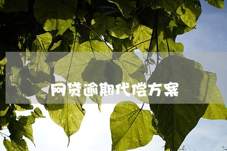 网贷逾期代偿方案 网贷逾期代偿方案