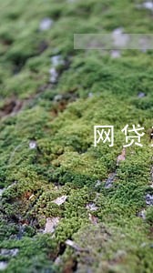 网贷逾期代偿无力偿还最坏结果 网贷逾期代偿无力偿还最坏结果