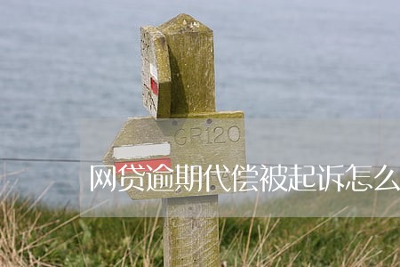 网贷逾期代偿被起诉怎么办 网贷逾期代偿被起诉怎么办