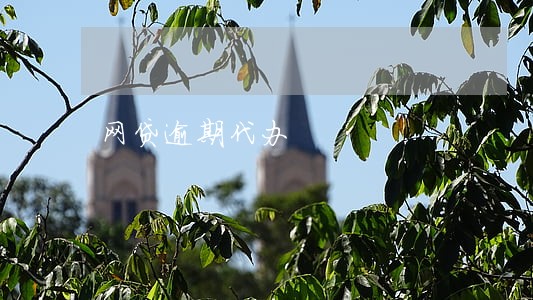 网贷逾期代办 网贷逾期代办