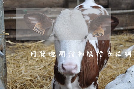网贷逾期代扣银行卡注销 网贷逾期代扣银行卡注销