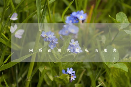 网贷逾期代接电话服务 网贷逾期代接电话服务