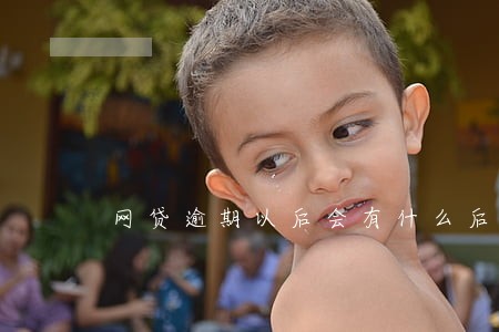 网贷逾期以后会有什么后果 网贷逾期以后会有什么后果