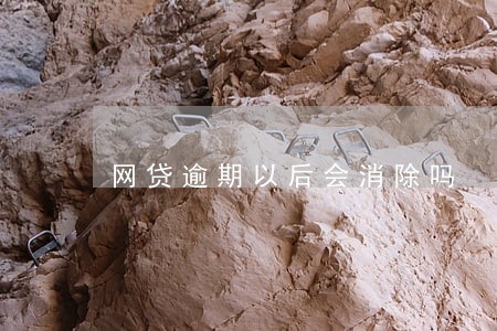 网贷逾期以后会消除吗 网贷逾期以后会消除吗