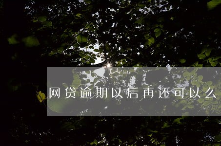 网贷逾期以后再还可以么 网贷逾期以后再还可以么