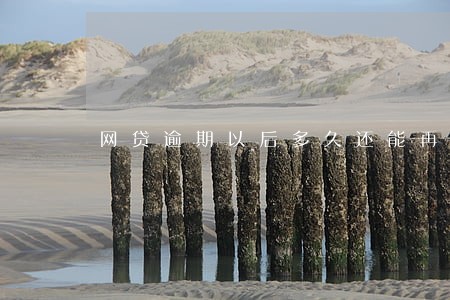 网贷逾期以后多久还能再贷 网贷逾期以后多久还能再贷