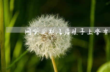 网贷逾期以后孩子上学有影响吗