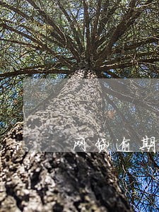 网贷逾期以后对小孩有影响吗 网贷逾期以后对小孩有影响吗