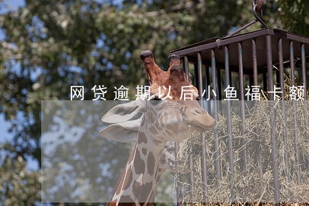 网贷逾期以后小鱼福卡额度还涨了