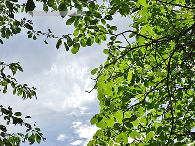 网贷逾期以后怎么换号码登陆 网贷逾期以后怎么换号码登陆