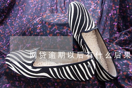 网贷逾期以后有什么后果 网贷逾期以后有什么后果