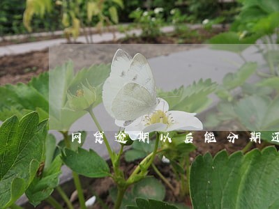 网贷逾期以后能分期还吗 网贷逾期以后能分期还吗