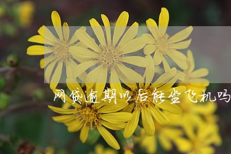 网贷逾期以后能坐飞机吗