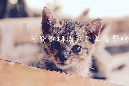 网贷逾期以后还上会影响坐车吗 网贷逾期以后还上会影响坐车吗