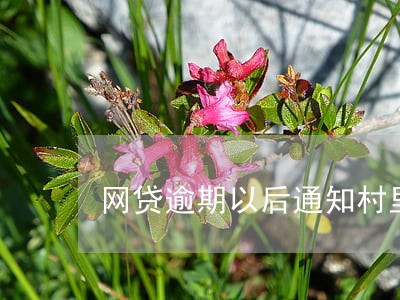 网贷逾期以后通知村里 网贷逾期以后通知村里