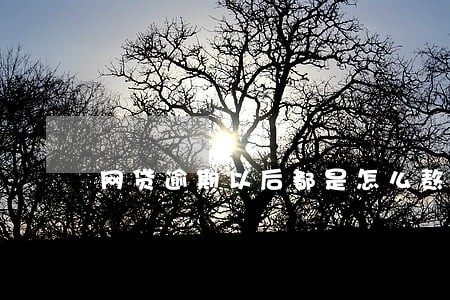 网贷逾期以后都是怎么熬过来的