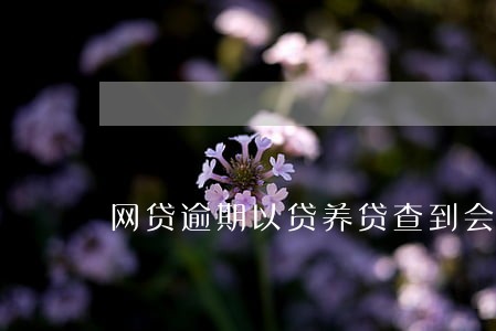 网贷逾期以贷养贷查到会怎么样 网贷逾期以贷养贷查到会怎么样
