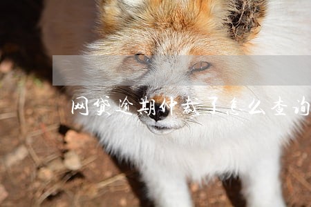 网贷逾期仲裁了怎么查询 网贷逾期仲裁了怎么查询