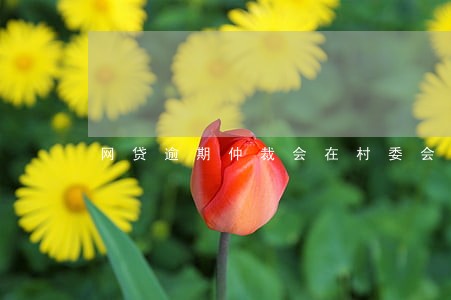 网贷逾期仲裁会在村委会公告吗 网贷逾期仲裁会在村委会公告吗