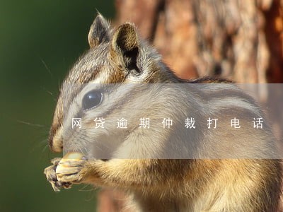 网贷逾期仲裁打电话 网贷逾期仲裁打电话