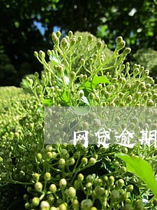 网贷逾期仲裁案件 网贷逾期仲裁案件