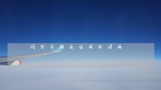网贷逾期众安保险理赔