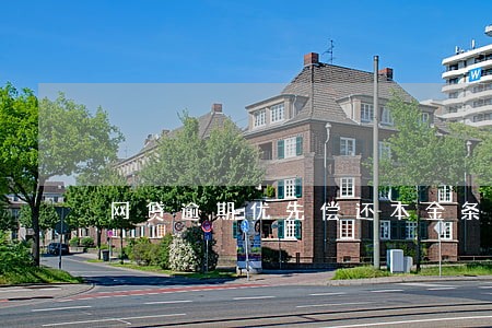 网贷逾期优先偿还本金条例 网贷逾期优先偿还本金条例