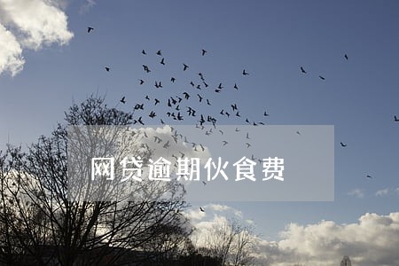 网贷逾期伙食费 网贷逾期伙食费