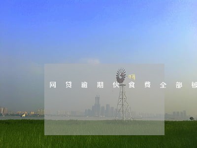 网贷逾期伙食费全部被扣走 网贷逾期伙食费全部被扣走