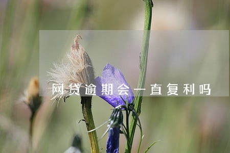 网贷逾期会一直复利吗 网贷逾期会一直复利吗