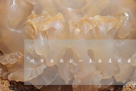 网贷逾期会一直给通讯录打电话吗 网贷逾期会一直给通讯录打电话吗