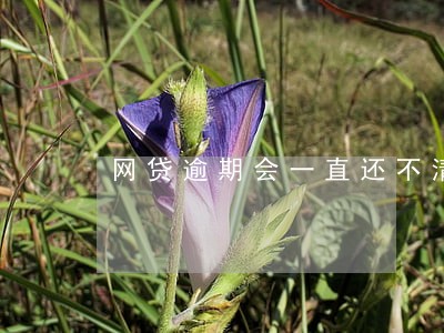 网贷逾期会一直还不清吗 网贷逾期会一直还不清吗